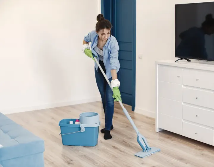 Femme de ménage Dampmart